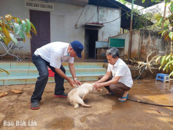 Phòng, chống bệnh dại: Vẫn là câu chuyện ý thức