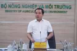 Xuất khẩu gạo của Việt Nam không bị ảnh hưởng