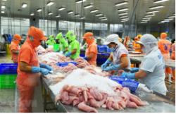 Nâng quy mô chương trình tín dụng đối với lĩnh vực nông, lâm, thuỷ sản