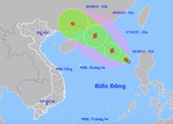 Áp thấp nhiệt đới giật cấp 8 trên Biển Đông, tiếp tục mạnh lên thành bão có vào nước ta?