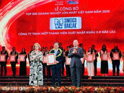 Đắk Lắk có 3 doanh nghiệp được vinh danh Top 500 doanh nghiệp lớn nhất Việt Nam