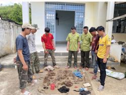Phát hiện, xử lý 547 vụ vi phạm Luật Lâm nghiệp