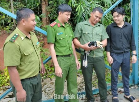 Thả cá thể chim cao cát bụng trắng về môi trường rừng tự nhiên