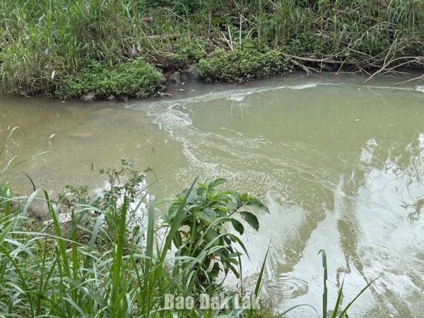 Kiểm tra, phát hiện 4 doanh nghiệp trong cụm công nghiệp Tân An đấu nối xả thải sai quy định