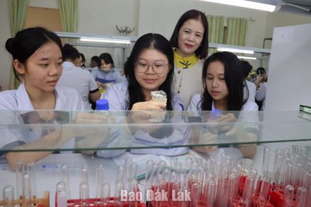Sở Giáo dục và Đào tạo xét thăng hạng cho 3.255 viên chức