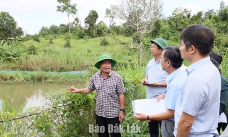 Phó Chủ tịch UBND tỉnh Nguyễn Thiên Văn kiểm tra các mô hình phòng, chống hạn hán thuộc Dự án SACCR