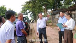 Kiểm tra hoạt động tại Cụm công nghiệp Tân An1, Tân An 2