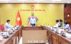 Rà soát, đánh giá toàn diện hiệu quả các dự án về chăn nuôi
