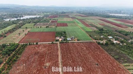 Người dân đồng thuận việc thu hồi đất thực hiện Dự án Cụm công nghiệp Krông Năng