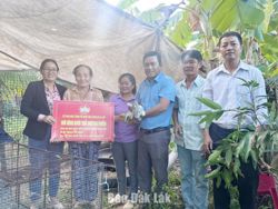 Xã biên giới Ia Lốp hỗ trợ sinh kế cho 5 hộ nghèo