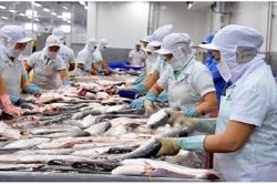 Tuổi nghỉ hưu năm 2027 được tính như thế nào?