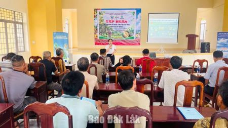 Chuyển giao kỹ thuật canh tác sầu riêng bền vững cho người dân Ea Nuôl