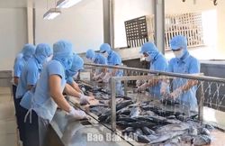 Nỗ lực duy trì đà tăng trưởng