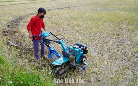Sản xuất thích ứng với khô hạn