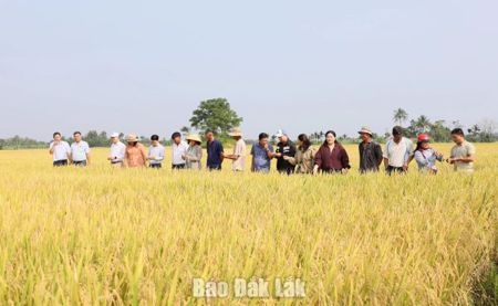 Bảo vệ môi trường - Nền tảng và động lực để phát triển