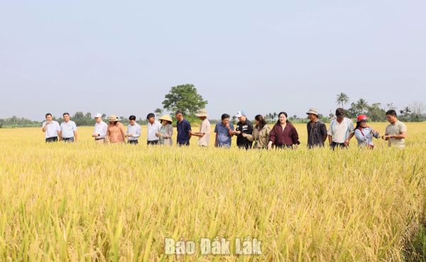 Bảo vệ môi trường - Nền tảng và động lực để phát triển