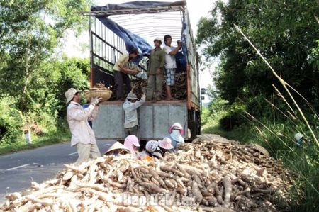 Phát triển công nghiệp xanh từ lợi thế nông - lâm sản