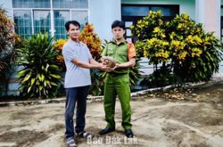 Người dân xã Vân Hòa giao nộp cá thể tê tê vàng
