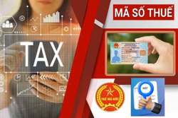 Doanh nghiệp đã nộp hồ sơ giải thể, chấm dứt mã số thuế có phải nộp hồ sơ khai thuế kỳ sau?