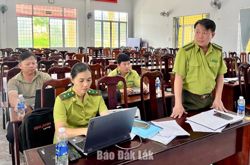 Ea Păl triển khai kiểm kê rừng năm 2026