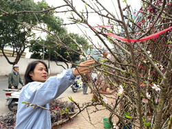 Dự báo chi tiết thời tiết cả nước dịp Tết Nguyên đán Bính Ngọ 2026