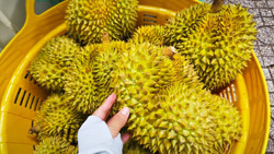 Quy định mới về xuất khẩu nông sản vào Trung Quốc