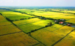 Hoàn thiện khuôn khổ pháp lý, đổi mới tài chính đất đai