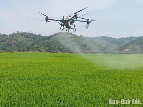 Tấm vé thông hành cho nông sản Đắk Lắk
