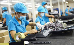Hơn 54.000 doanh nghiệp gia nhập thị trường trong tháng 1/2026