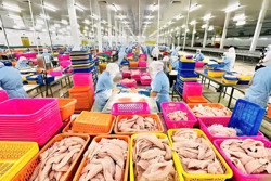 Ngành sản xuất tăng trưởng liên tiếp 7 tháng