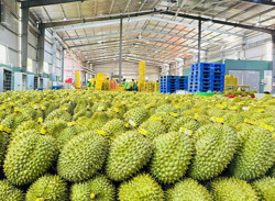 Xuất khẩu bứt phá đầu năm