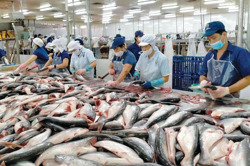 Nâng cao khả năng cạnh tranh cho nông sản
