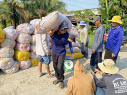 Tăng cường thu mua, tạm trữ lúa gạo