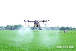 “Số hóa” cánh đồng, nâng tầm nông sản