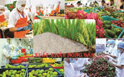 Nhiều mặt hàng xuất khẩu chủ lực thuộc ngành nông nghiệp đạt kết quả cao