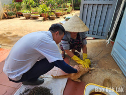 Đắk Lắk: Tăng cường các biện pháp cấp bách phòng, chống bệnh dại