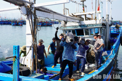 Đắk Lắk siết kỷ cương nghề cá, quyết tâm gỡ “thẻ vàng” IUU