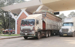 Tiếp tục tạm ngưng hiệu lực Nghị định 46 về an toàn thực phẩm
