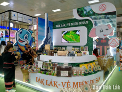Đắk Lắk quảng bá sản phẩm du lịch, văn hóa Đắk Lắk tại Hội chợ Du lịch VITM Hanoi 2026