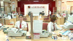 Tăng trưởng tín dụng tỉnh Đắk Lắk cao hơn mức bình quân toàn quốc
