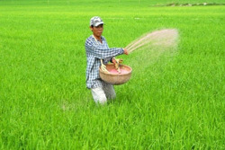 Bộ Tài chính chặn đà tăng giá vật tư nông nghiệp