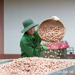 OCOP đưa đặc sản vươn xa