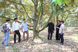 Hơn 1,8 tỷ đồng thực hiện dự án thí điểm chuyển đổi số trong sản xuất sầu riêng ở Krông Nô