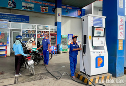 Sản xuất, phối trộn, phân phối, sử dụng nhiên liệu sinh học