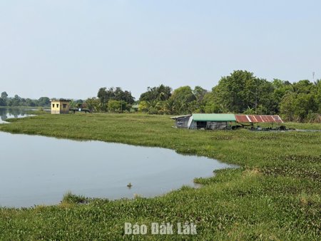 Yêu cầu chấm dứt hành vi xâm phạm hồ Ea Súp Hạ để bảo vệ sức khỏe cộng đồng