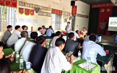 Nông dân Cư M’gar bảo vệ môi trường, thích ứng với biến đổi khí hậu