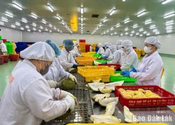 Xuất khẩu nông sản: Áp lực và động lực trước hàng rào kỹ thuật SPS