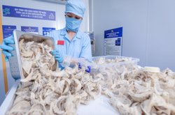 Cục Xuất nhập khẩu lưu ý thay đổi quan trọng với hàng thực phẩm vào Trung Quốc từ 1-6