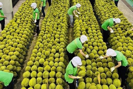 Hệ thống truy xuất nguồn gốc: Nền tảng minh bạch chuỗi nông sản Việt