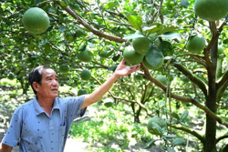4 tháng đầu năm xuất khẩu nông lâm thủy sản đạt 23,04 tỷ đô